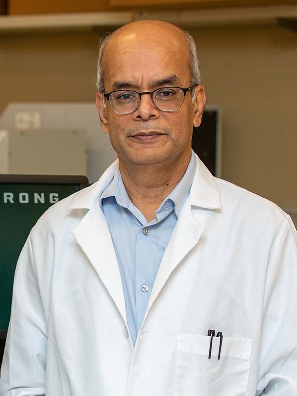 Aloke Kumar Dutta Ph.D, Ph.D,
