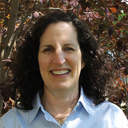 Lori Klein-Shapiro