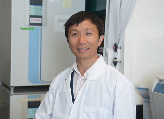 Zhengping Yi, Ph.D.