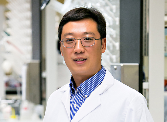 Wanqing Liu, PhD.